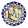 Lyophilized Blue Pulaski Magic Mushrooms