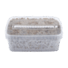 B+ Magic Mushrooms Grow Kit GetMagic