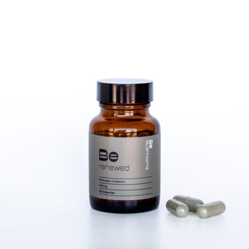 Be Renewed Macrodose is a wellness-focused supplement or product designed to support deep mental, emotional, or spiritual renewal